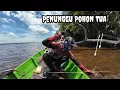 Download Lagu  Fishing for giant prawns || Gerombolan udang berkumpul Dekat Pohon tua yang sudah tumbang
