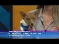 Miss Winkles Pet Adoption Center