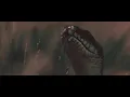 Download Lagu Bring Me The Horizon - One Day The Only Butterflies Left Will Be In Your Chest As You March...