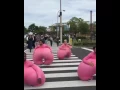 Download Lagu Guys in pink suits bouncing