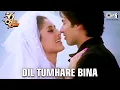 Dil Tumhare Bina | Shahid Kapoor | Kareena Kapoor | Himesh Reshammiya | Alka Yagnik | 36 China Town