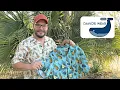 Hawaiian Shirt - A Must have for any gentleman s closet