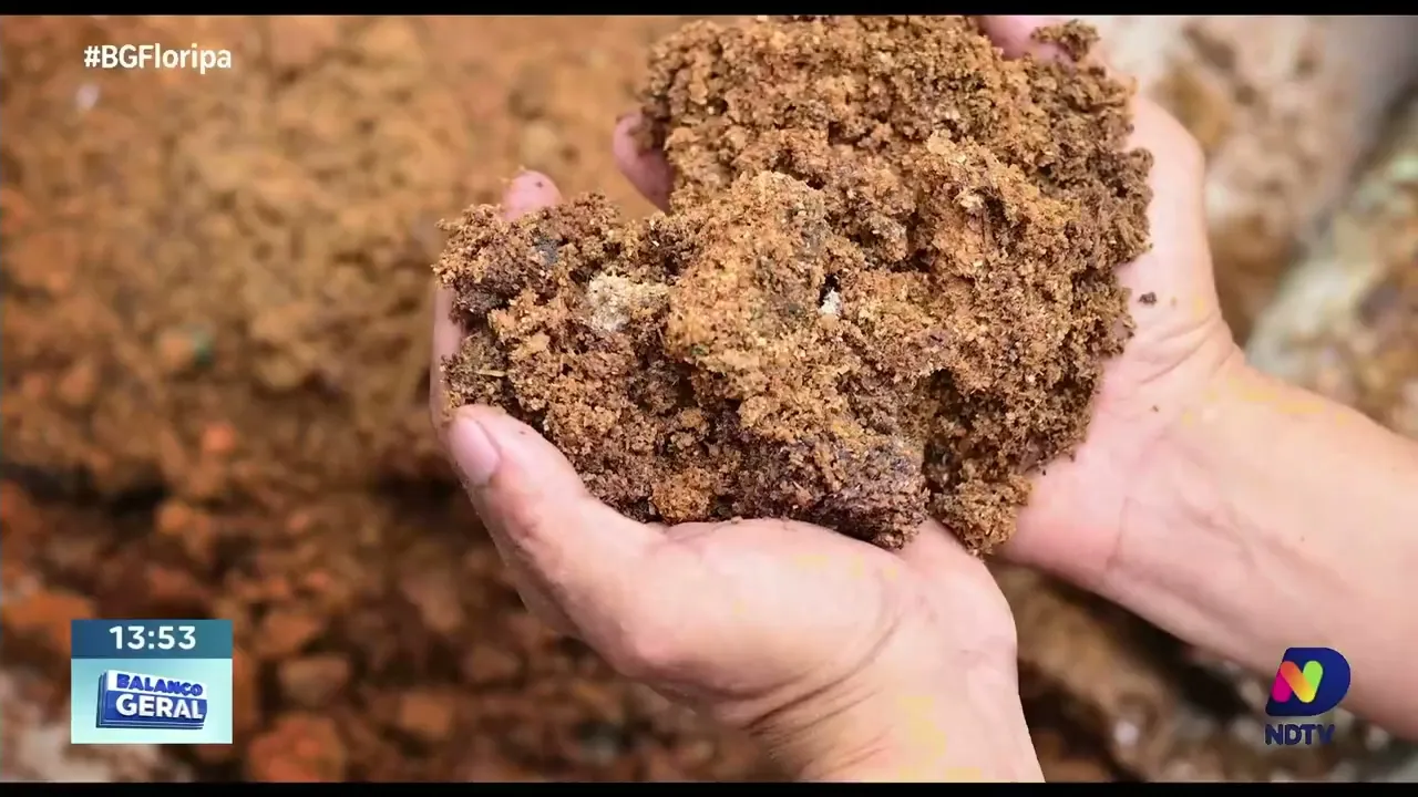 Energia sustentável: o papel da biomassa na redução de gases do efeito estufa