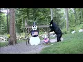 EarthCam Live Snowman Cam - Animals and Wildlife Gaylord Michigan
