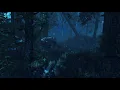 044 -The Witcher 2 EE OST- Nocturnal Forest