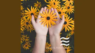 Sleep Noise Baby