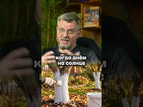 Побелка к майским - это косметика #дачныйагроном #рекомендуем