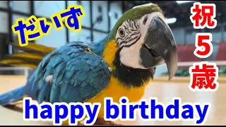 だいちゃん5歳のHappyBirthday!!