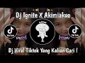 Download Lagu DJ IGNITE X AKIMIAKUO VIRAL TIKTOK TERBARU 2024 YANG KALIAN CARI !