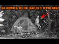 Lagu CAMPING HOROR KAMI TERDIAM MELIHAT MAHLUK HALUS DI SAMPING TENDA MENGHANTUI TERUS MENERUS!!