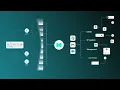 Momentum Overview
