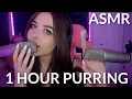 ASMR 1 Hour Of Amazing Purring To Help You Sleep