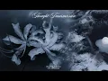 INSTANT THOUGHT TRANSMISSION TELEPATHY SUBLIMINAL 528Hz 963Hz