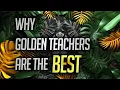 Why Golden Teacher Magic Mushroom are the Best
