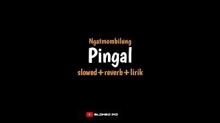 Download Pingal - Ngatmombilung (slowed+reverb+lirik) ibarat esuk mendung awan aku kudanan sore mbok larani MP3