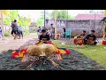 Download Lagu TARI REOG \u0026 JARANAN NDADI SENI REOG GEMBONG BAWONO LIVE BODANG - PADANG - LUMAJANG 2025 (SIANG)