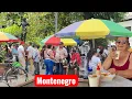 Lagu Saliendo desde el Parque del Café Rumbo Montenegro QUINDÍO 2025
