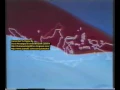 Lagu Indonesia Raya Opening 80-an