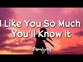 Download Lagu I Like you so Much, you'll know It- Ysabelle cuevas (Lyrics)🎶