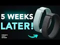Google Fitbit Air Review What I Learned After 5 Weeks