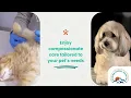 Best Pet Care Animal Hospital PLLC DBA Aldine Mail Route Animal Hospital
