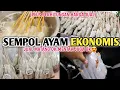Download Lagu RESEP JUALANKU SEMPOL AYAM JUAL 1000an TETAP LEMBUT WALAU SUDAH DINGIN ❗