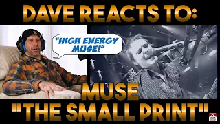 Download Dave's Reaction: Muse — The Small Print MP3