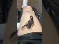 Download Lagu Scorpion Tattoo Design || Trigger Tattoo #shorts #tattoo #design #scorpion #realistic
