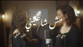 أغنية مش شاغلني دندنها