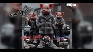 دكتور ديجي الجياشا 