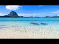 A Beautiful Beach in Bora Bora