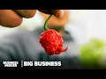 Download Lagu The Creator Of The World's Hottest Peppers Is Fueling A Hot Sauce Revolution | Big Business