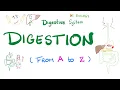 Digestion - Ultimate Review