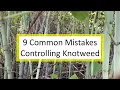 Download Lagu 9 Common Mistakes To Avoid in Trying to Control Invasive Knotweed