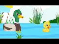 Superinia - Ένα Παπάκι Μικρό 🦆| Τραγούδι που μαθαίνει στα παιδιά να μην απομακρύνονται από τη μαμά