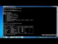 Structured Query Language Tutorial SQL Part 27 CHECK Constraint on CREATE TABLE Command Prompt CMD