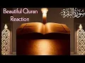 Download Lagu Surah Baqarah (Fast Recitation) Quick Reading By Sheikh Mishary Afasy With Arabic  سورة البقره Ep028