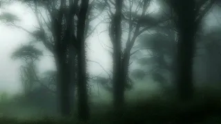 The Neighbourhood Softcore Sped Up 