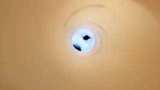 柴犬とたまに目が合う小っちゃな穴