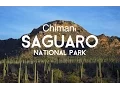 Auto Tour Cactus Forest Drive in Saguaro National Park - Arizona