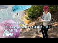 Rockhounding HOGG MINE MTN LaGrange Georgia Aquamarine Star Rose Quartz Smokey Milky Quartz