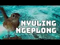 Download Lagu SRDC BALI NYULING NGEPLONG