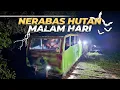Download Lagu Akibat Nekat Naik Molek Malam Hari Di Tengah Hutan #6