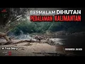 Download Lagu Bermalam di Hutan Pedalaman  Kalimantan