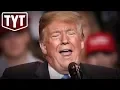 Psychology Professor Exposes Trump s Low IQ