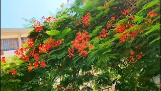 جولة داخل أروقة جامعة المنصورة  قبل انطلاق العام الدراسي الجديد           دندنها