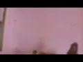 Viral de Soy La Oruga TikTok de Honduras and and trending