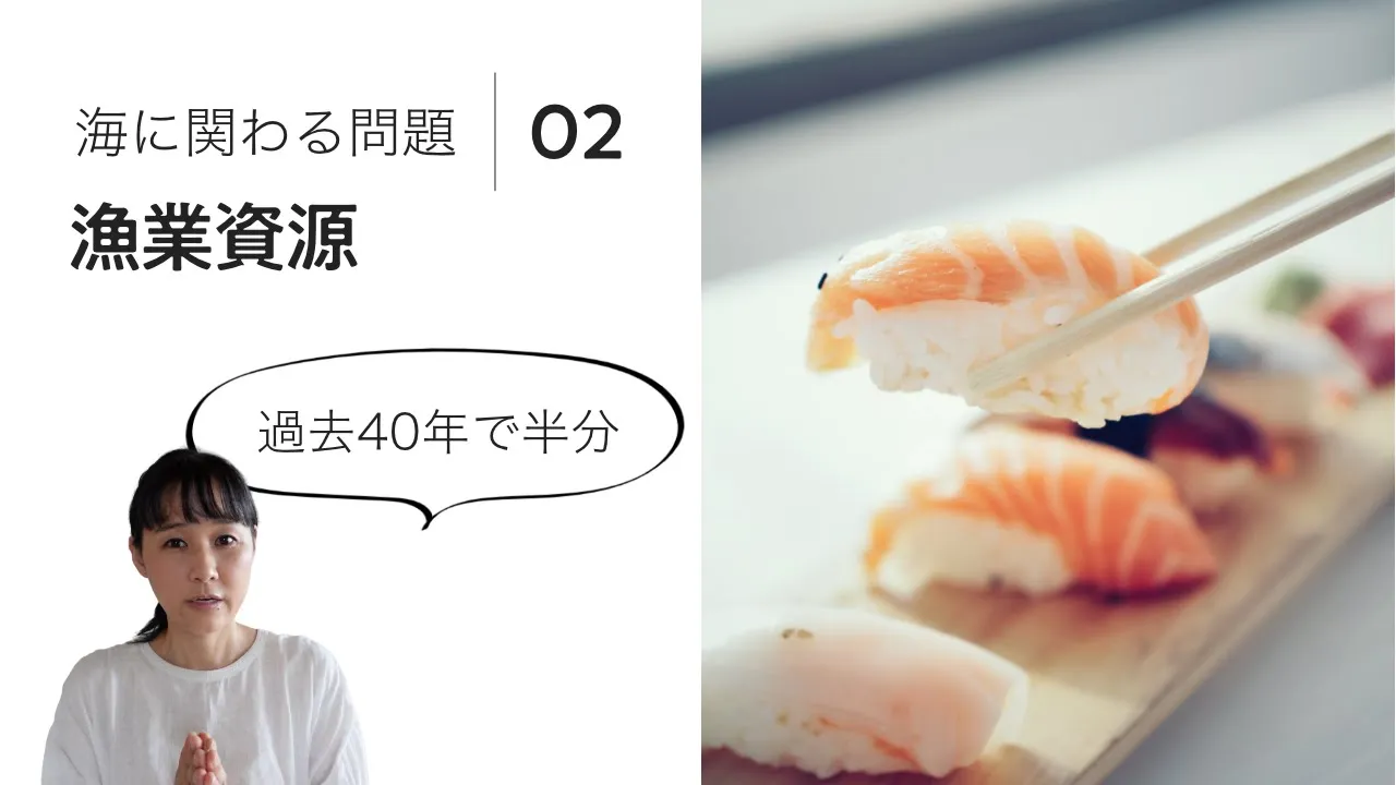 海に関わる問題 │ 漁業資源　漁業の問題点とサステナブル・シーフード