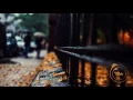 Maple Syrup - Nuremberg