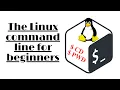 The 2 Most-Used Linux Commands You Should Know pwd and cd